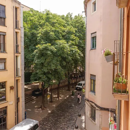 Bravissimo Calderers L'aliga, In The Barri Vell Жирона